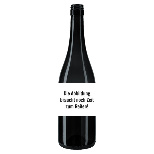 CALVET Chardonnay 0,0% alkoholfreier Perlwein