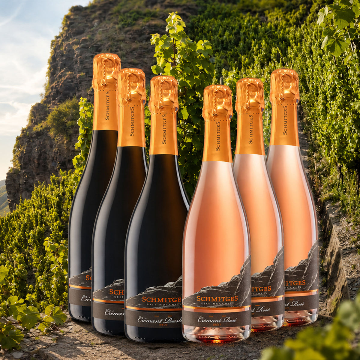 6er Vorteilspaket Weingut Schmitges